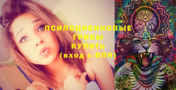 spice Гусь-Хрустальный