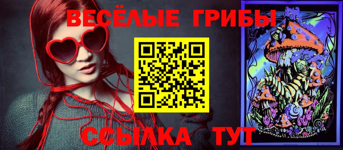 Псилоцибиновые грибы Cubensis  Вход с VPN  Кимры  Псилоцибиновые грибы Psilocybine cubensis 