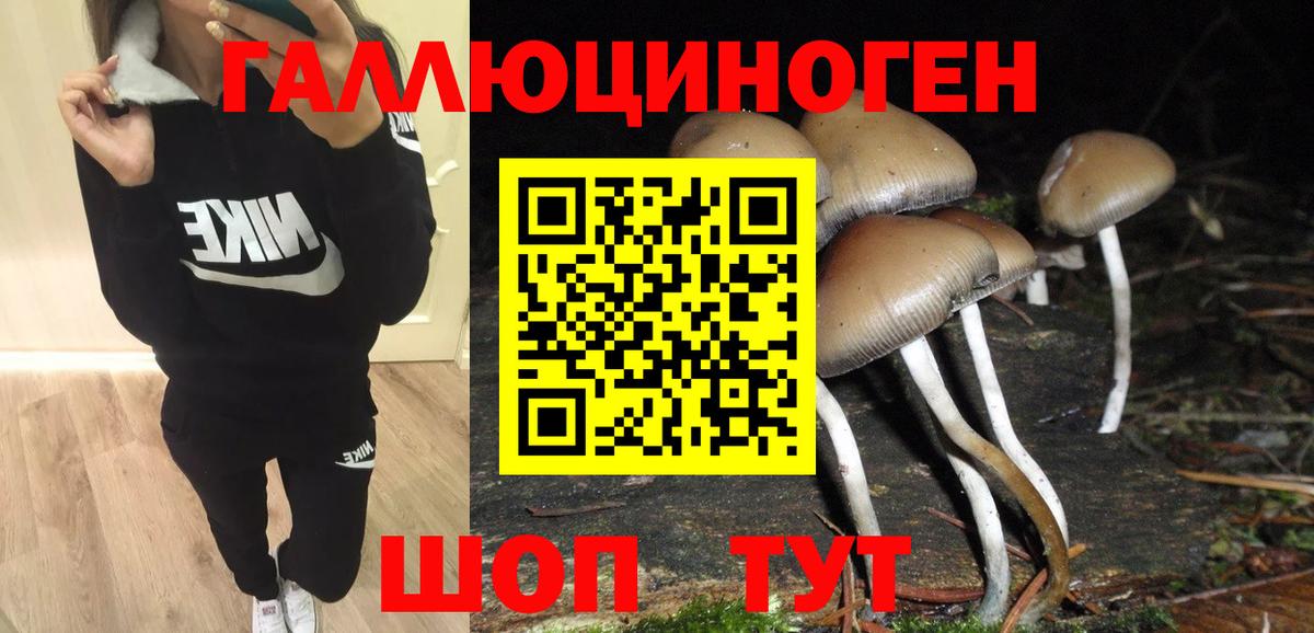 Псилоцибиновые грибы ЛСД Кимры
