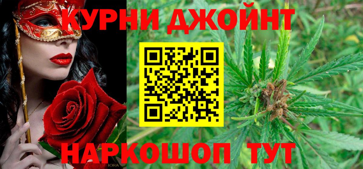 Шишки марихуана SATIVA & INDICA  Шишки марихуана OG Kush  Бошки марихуана марихуана  Вход с VPN  Кимры  Бошки марихуана Ganja 